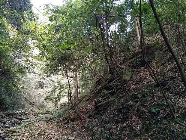 逃离壳牌岛